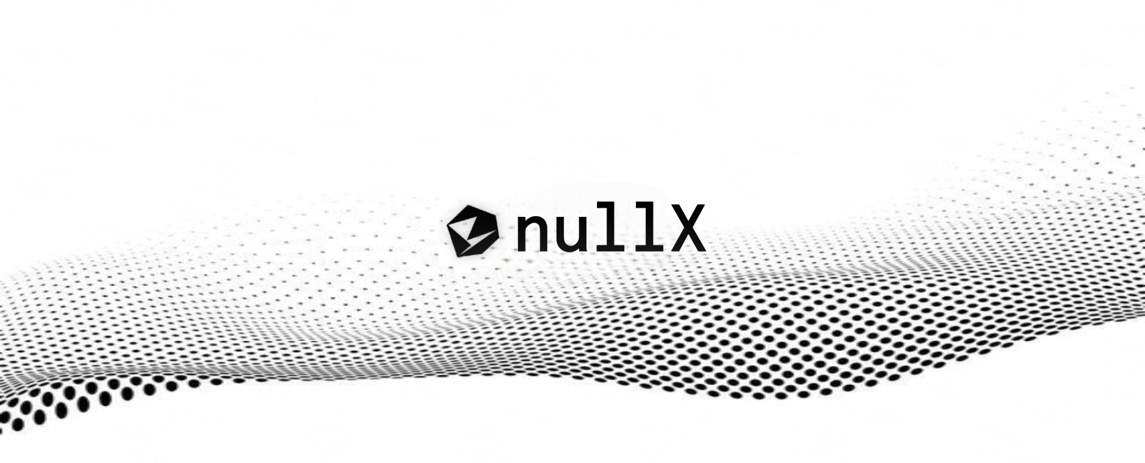 nullX monochrome wave banner